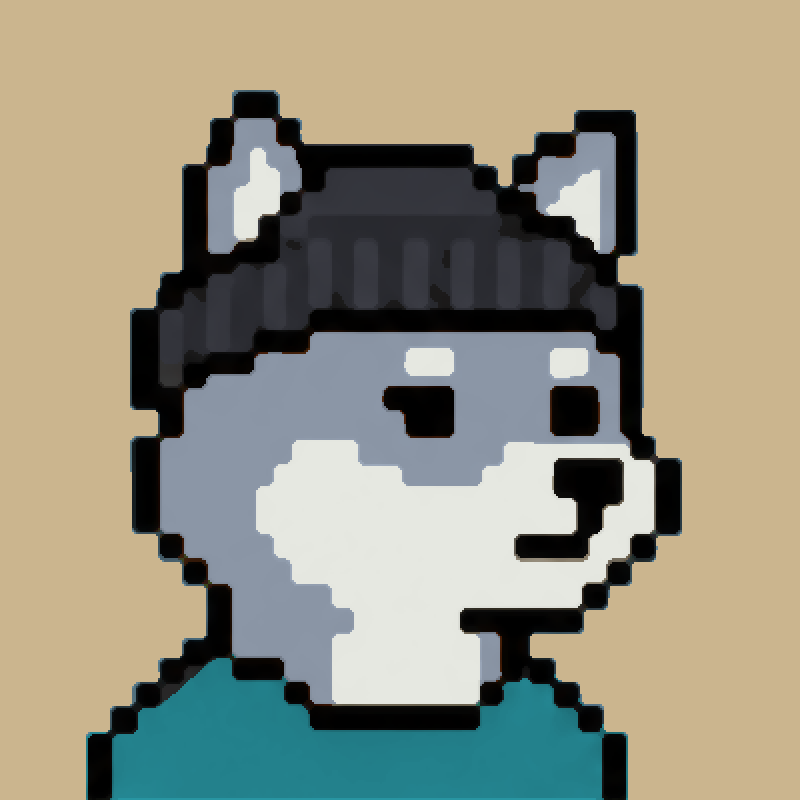 Silver Inu in a black beanie and teal shirt